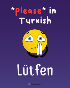 Please in Turkish