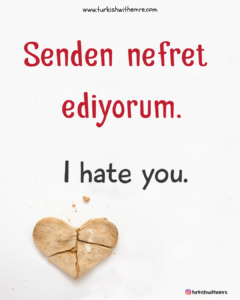 I hate you in Turkish