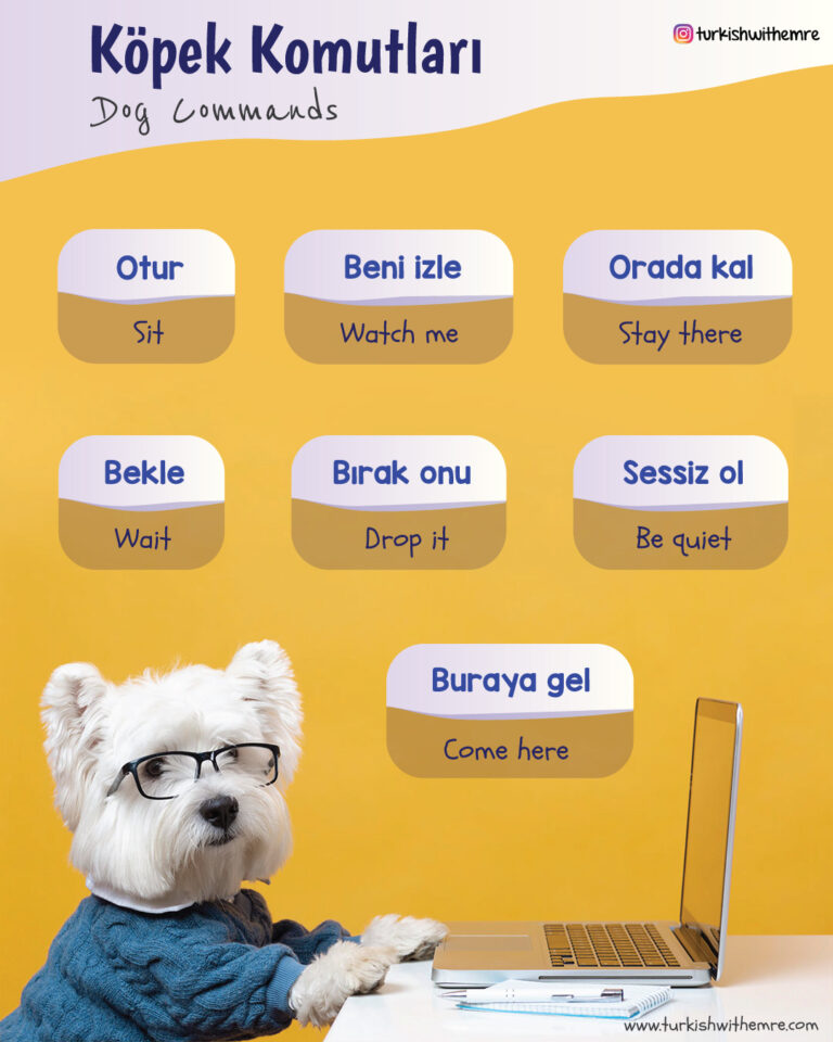 Dog commands in Turkish