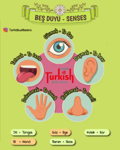 Five senses in Turkish language