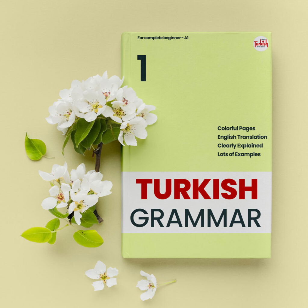 Turkish Grammar book for beginners