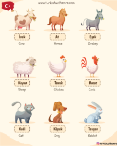 Animals in Turkish