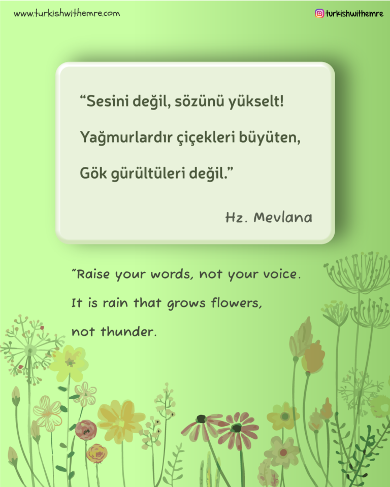 Rumi Quotes in Turkish