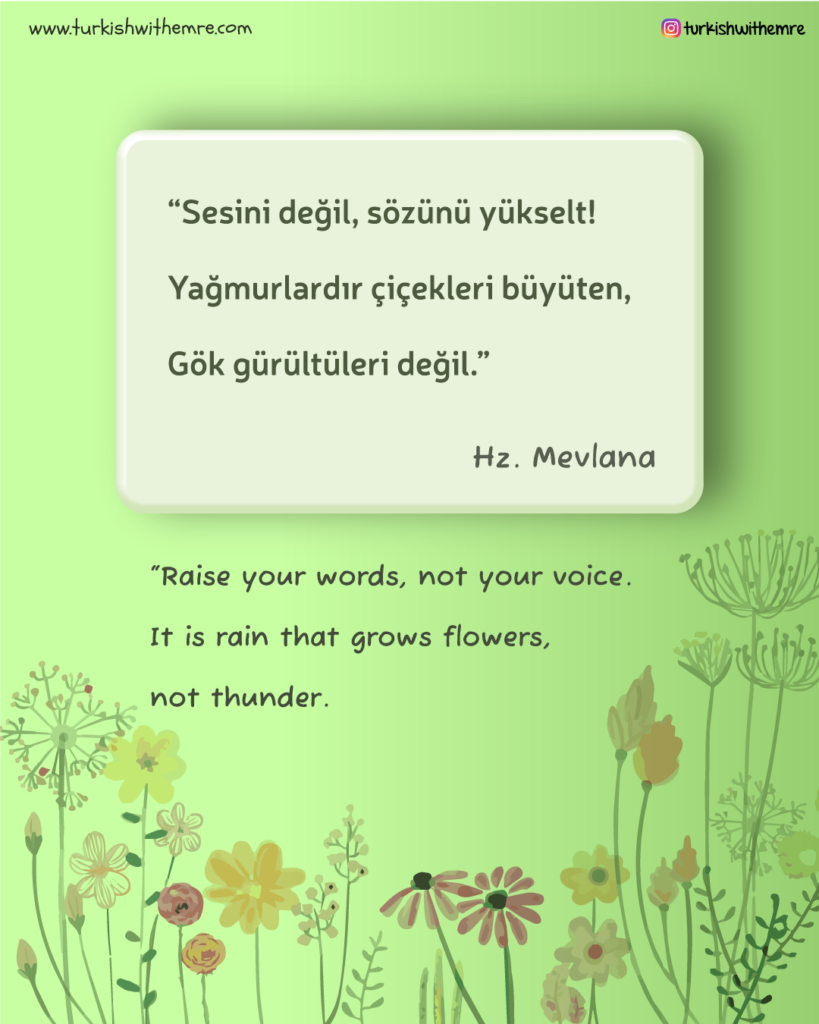 Mevlana quotes in Turkish